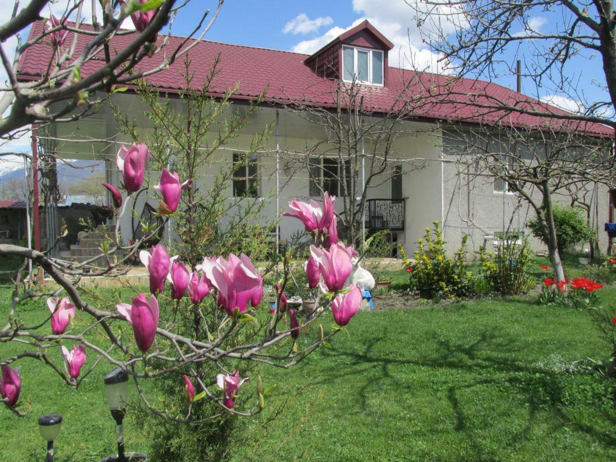 Guest House Melissa Duisi Dış mekan fotoğraf